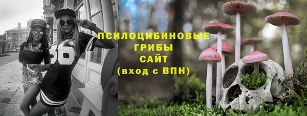 прущие грибы Алексеевка