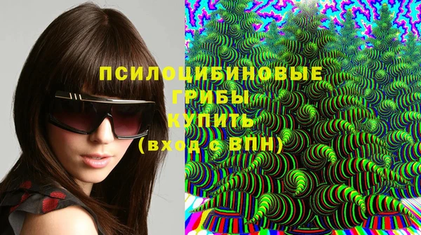 прущие грибы Алексеевка